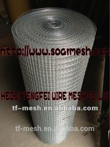 Galvanized Welded Wire Mesh( ISO 9001)