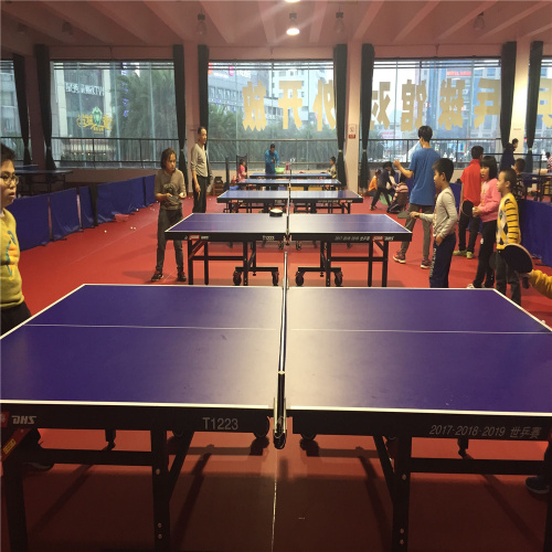 Tappetino per campi da ping pong