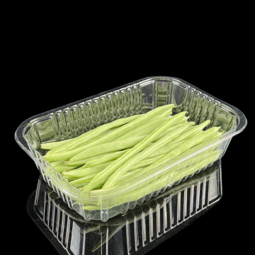 Eco-Friendly Fresh Food Tray