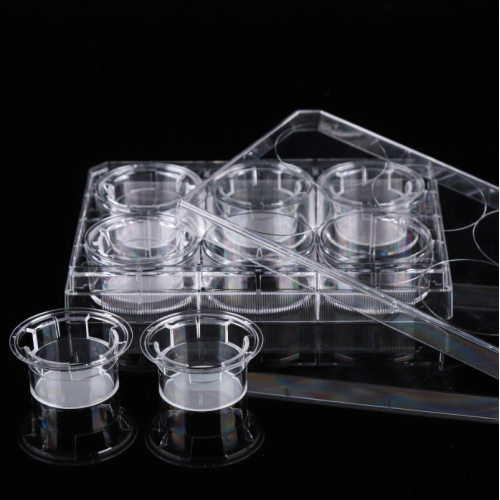 PC Memberane Cell Culture Inserts for 6-well plates