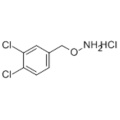 Hydroxylamine, chlorhydrate de O - [(3,4-dichlorophényl) méthyl] - (1: 1) CAS 15256-10-7