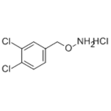 Hydroxylamine, chlorhydrate de O - [(3,4-dichlorophényl) méthyl] - (1: 1) CAS 15256-10-7