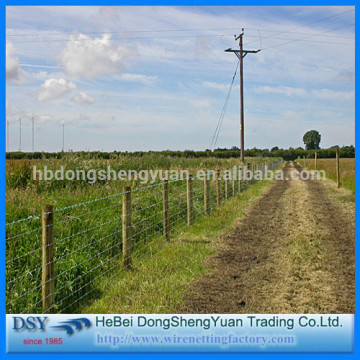 16 gaue electric galva. barbed wire factory price/china supplier motto barbed wire price making/barbed wire price cheap