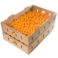 Eco-Friendly Cardboard Shippers for Fresh Produce