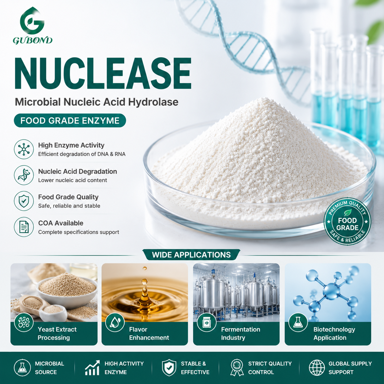 nucleasa Nuclease