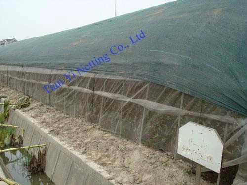 Anti Wind Netting