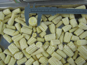 Frozen Vegetables Frozen Young Corn Baby Corn