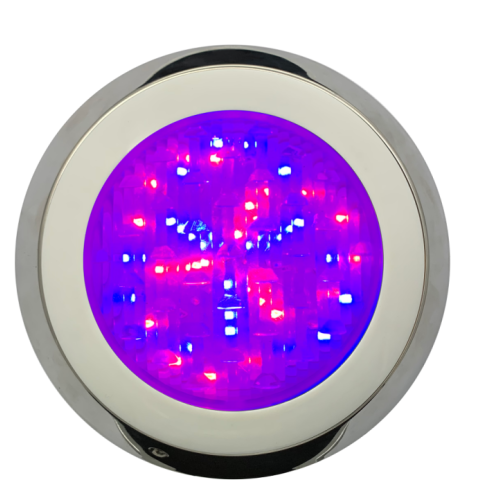 SS316 304 RGB/Single Color Wall-mounted Swimming Pool Light