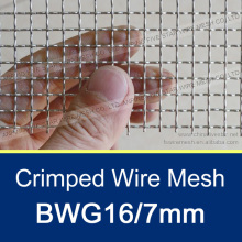 Galvanized Crimped Weave Wire Mesh For Roast