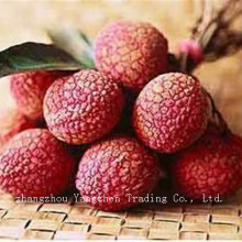 2014 New crop canned lichee wholesale price