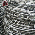 hot dipped galvanized barbed wire military