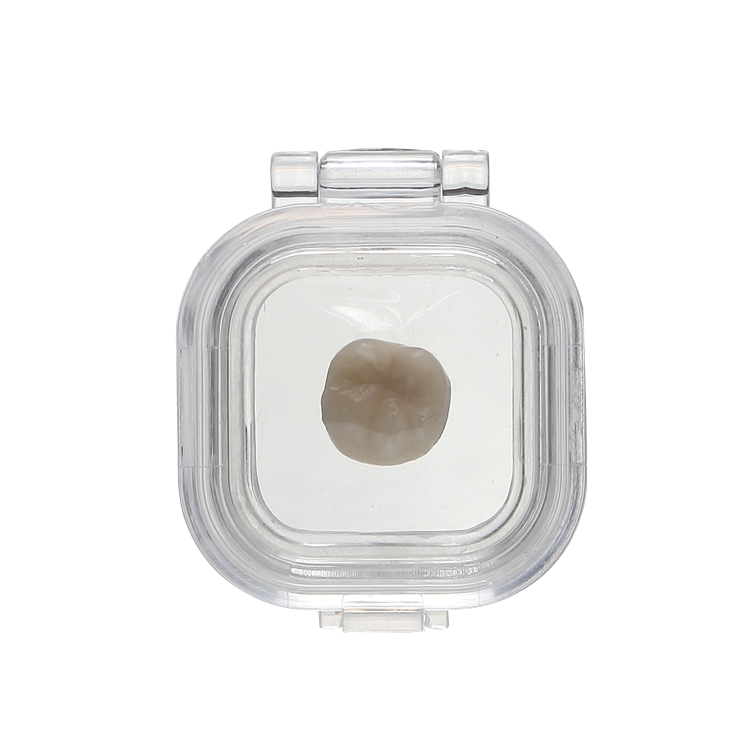 1inch 3D Suspension Packaging Clear Dental Crown Box Plastic Membrane Box Retainer Case Denture Box