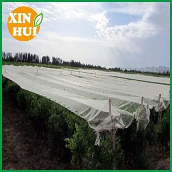 Agriclture Anti Hail Net for apple orchards (Manufactory)
