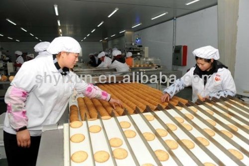 YX1000 Biscuit Production Line