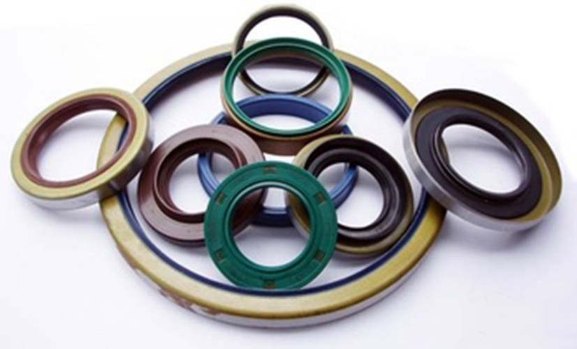 Oil Seal 2