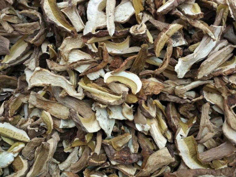 Dried Boletus Edulis, Porcini Mushroom From China