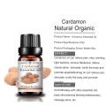 Premium Quality Best Price Aromatic 100% Natural Cardamon Essential Oil