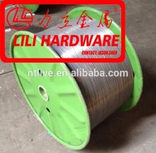 steel wire /galvanized steel wire / stainless steel wire