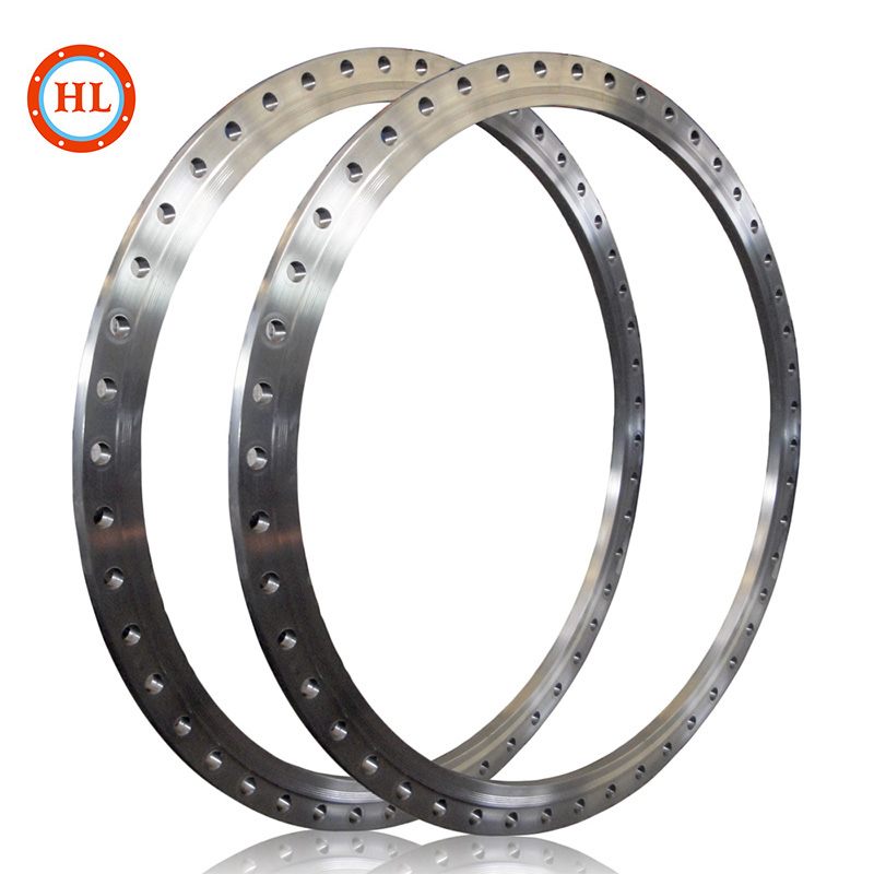 Customized Large Diameter Stainless Steel Flat Welding Plate Flange
