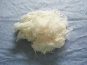 flame retardant polyester staple fiber