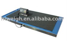 pet scale dog scale vet scale model AP