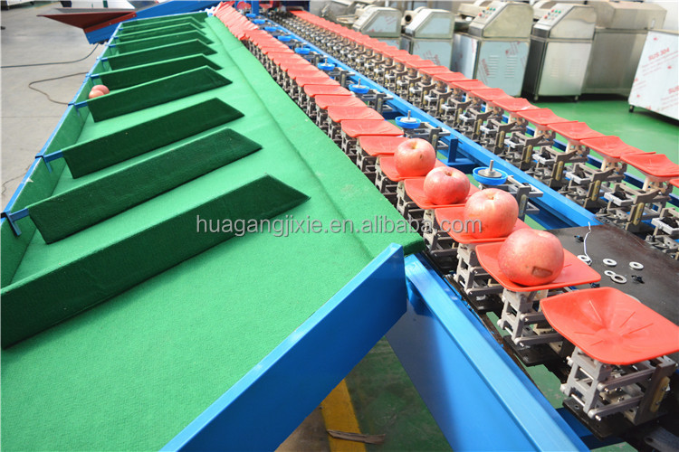 Automatic tomato fruit weight sorter pomegranate sorting machine mandarin and orange grading sorting machine.