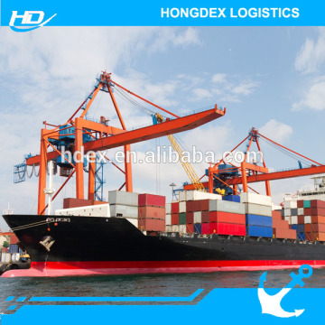 Global freight forwarder china to usa