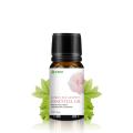 Eucalyptus Citriodara Oil Lemon Eucalyptus Minyak Esensial Mosquito Repellent