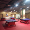 Uso de suelo de pista de tenis de mesa para competición internacional