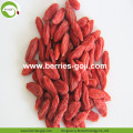 Approvisionnement d&#39;usine fruits à faible teneur en sucre Goji Baies