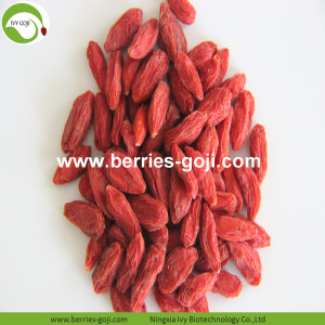 Factory Supply Fruit Low Sugar Dieet Goji Bessen