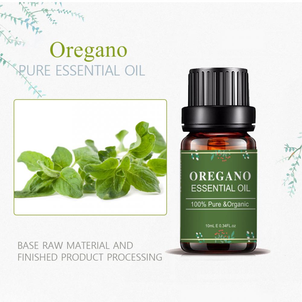 عمده فروشی OEM/OEM OREGANO روغن ضروری برای کاهش وزن