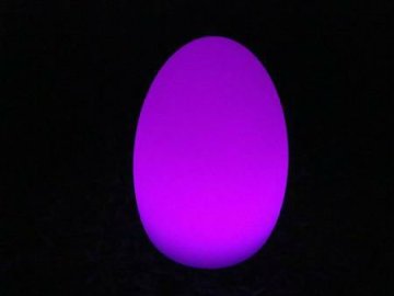 Rechargeable LED Egg-shaped Ball Light