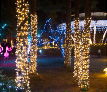 LED Solar String Lights