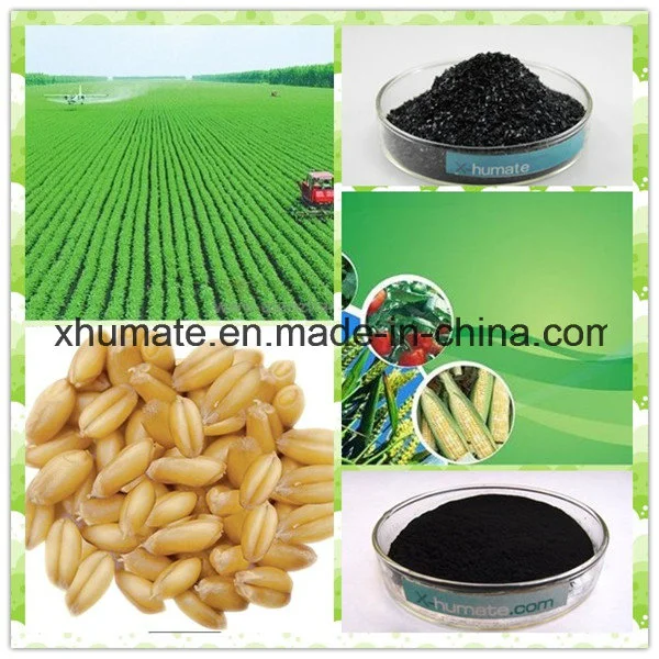 X-Humate H95 Series Potassium Humate 95%Min Crystal Pearl Organic Fertilizer