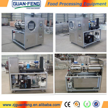 lab vacuum freeze dryer China manufacturer