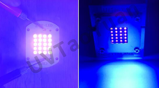 Ultraviolet lamp Cob array uva led module 385nm 395nm 405nm for Uv inkjet printer