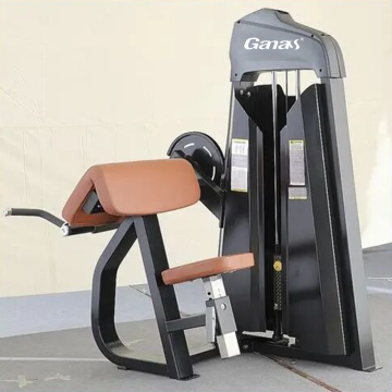 Professional Biceps Curl Machine