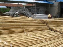 Bamboo Poles, Dried Yello