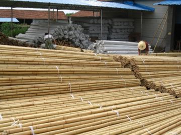 Bamboo Poles, Dried Yello