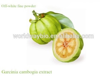 Weight management garcinia cambogia extract/garcinia cambogia hca 95% by HPLC,garcinia cambogia