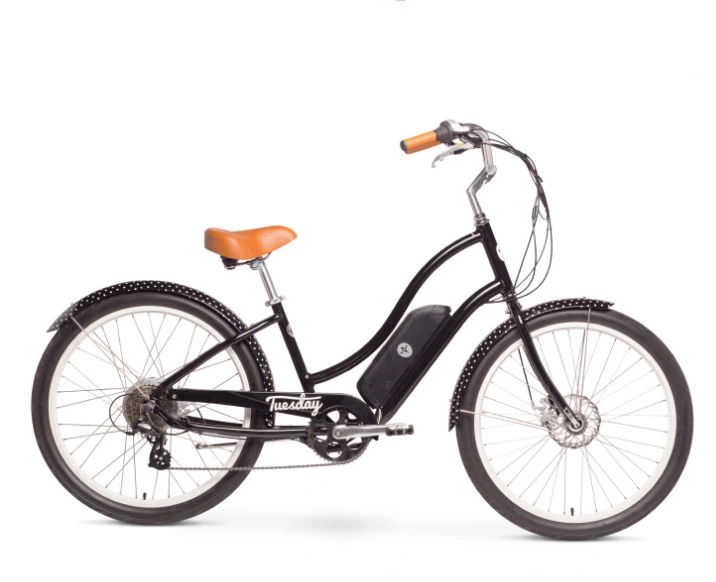Made in Europe City Adult Electrical Bicycle with Hailong Lithium Battery