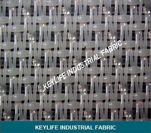 Forming Cloth for Papermaking- Single Layer Forming