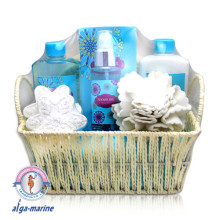 basket bath gift set (Item NO.FW1510SF004)