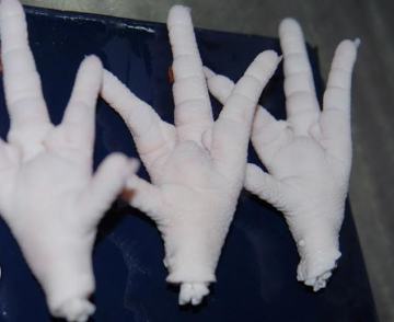 Brazil Frozen Chicken Feet  Exporters