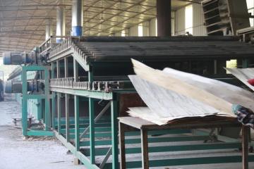 conveyor wood veneer dryer machinery factory