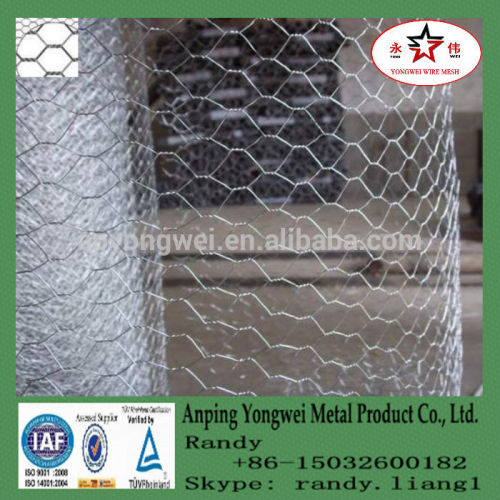 YW--hexagonal mesh cage/chicken wire