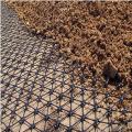 Pflasterverstärkung Fiberglas Geogrid Mesh