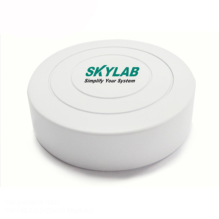 SKYLAB nRF51802 ble gateway iot wholesale ibeacon eddystone beacon for Asset tracking