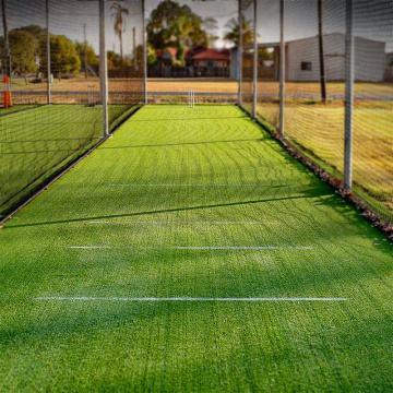 Training Home Dekor und künstliches Gras Haustier